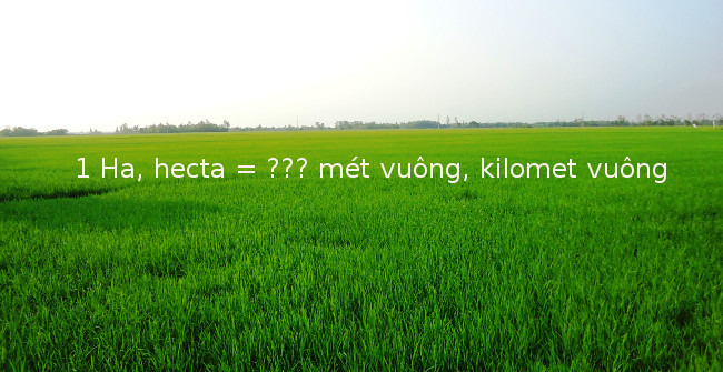 Đổi m2 sang ha