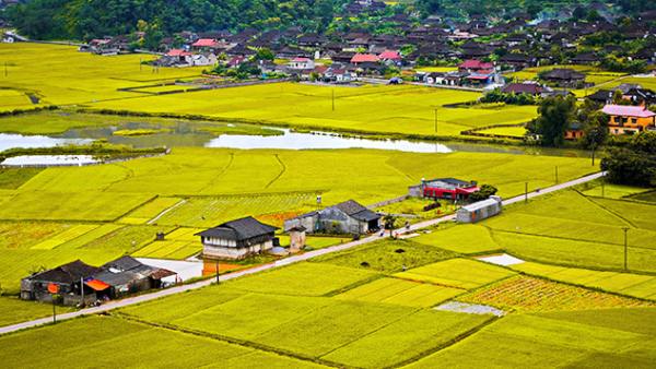 Giá đất ruộng hiện nay