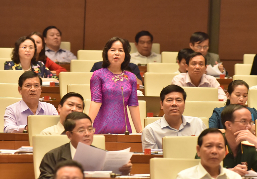 Đại biểu Phạm Thu Trang nói về đặc khu kinh tế